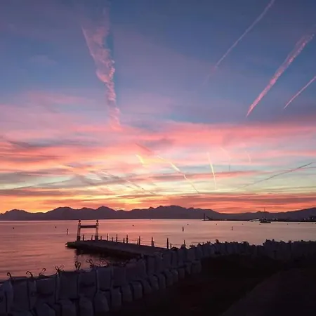 Vianney * Cannes